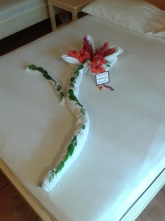 Hotel El Paraiso Escondido - Costa Rica 자코 외부 사진