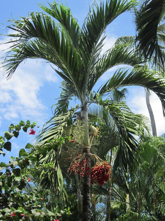 Hotel El Paraiso Escondido - Costa Rica 자코 외부 사진