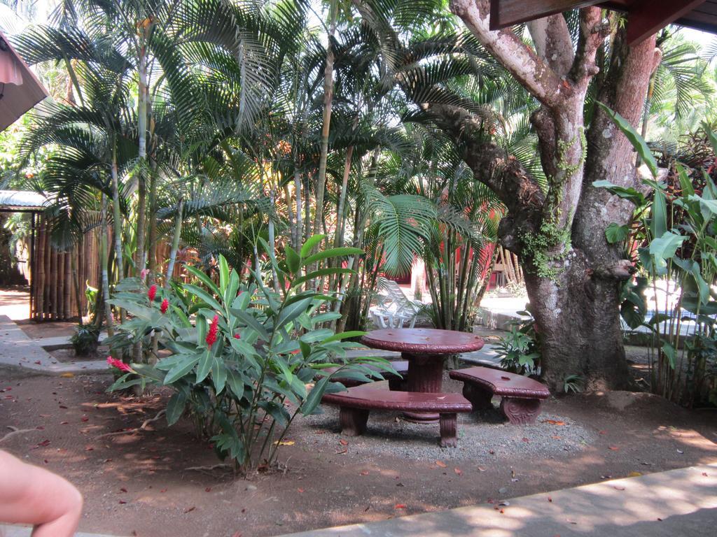 Hotel El Paraiso Escondido - Costa Rica 자코 외부 사진