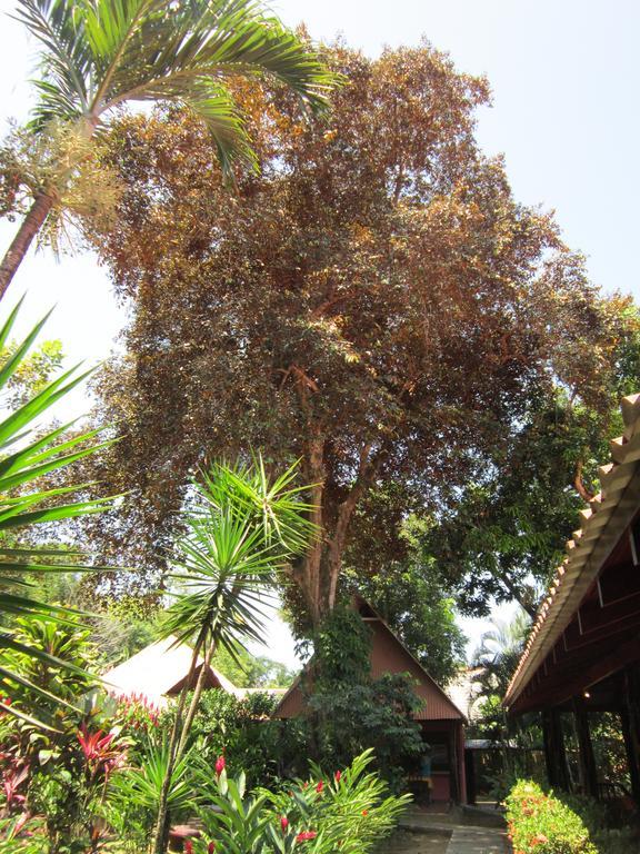 Hotel El Paraiso Escondido - Costa Rica 자코 객실 사진