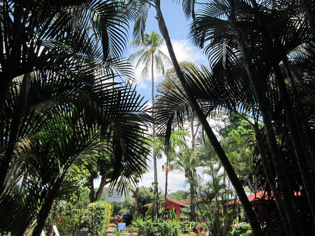 Hotel El Paraiso Escondido - Costa Rica 자코 외부 사진