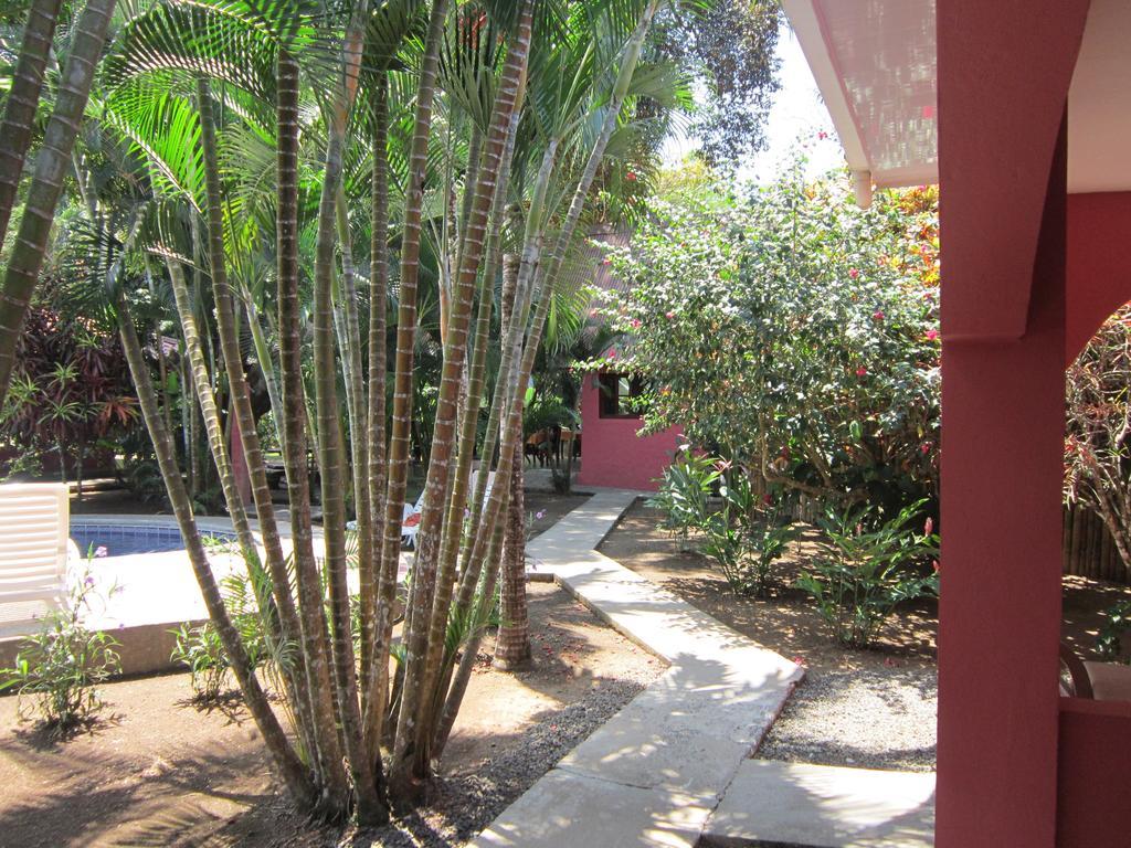 Hotel El Paraiso Escondido - Costa Rica 자코 객실 사진