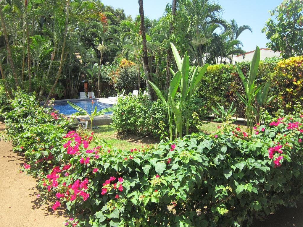 Hotel El Paraiso Escondido - Costa Rica 자코 외부 사진