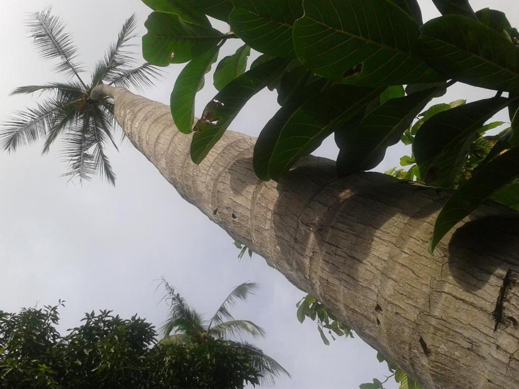 Hotel El Paraiso Escondido - Costa Rica 자코 외부 사진