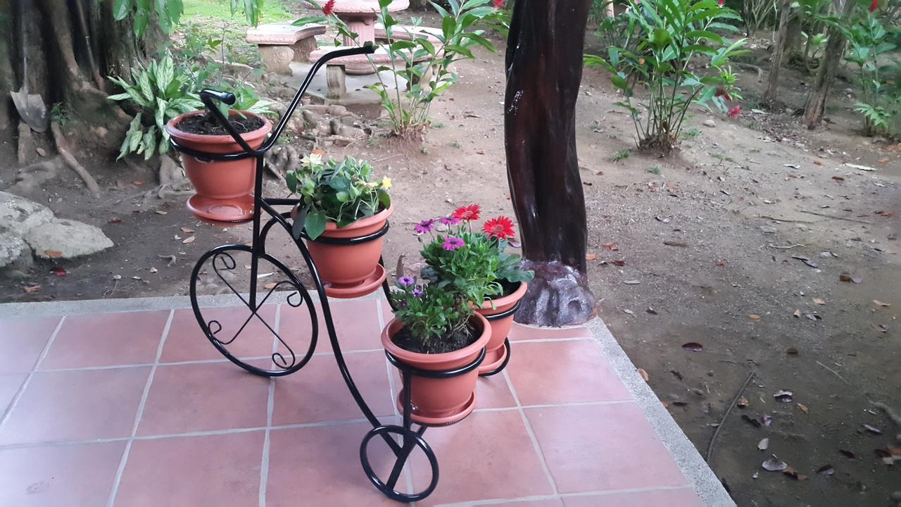 Hotel El Paraiso Escondido - Costa Rica 자코 외부 사진