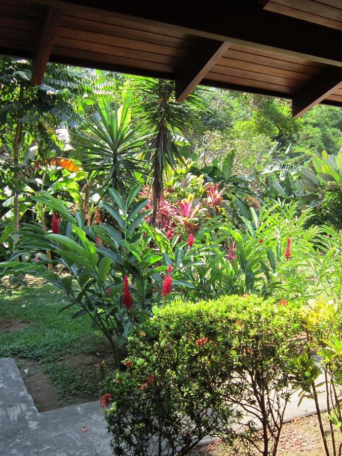 Hotel El Paraiso Escondido - Costa Rica 자코 외부 사진