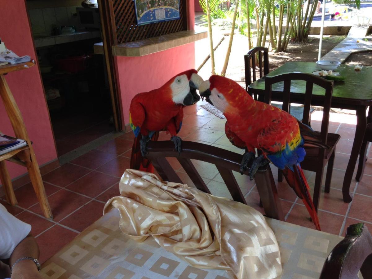 Hotel El Paraiso Escondido - Costa Rica 자코 외부 사진